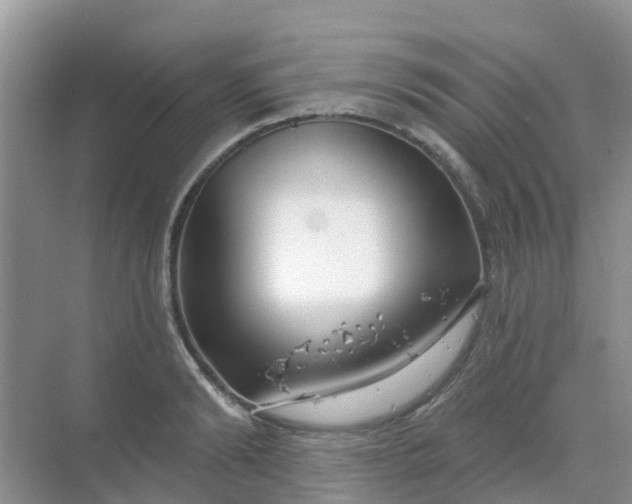 X0000069360894200605261956