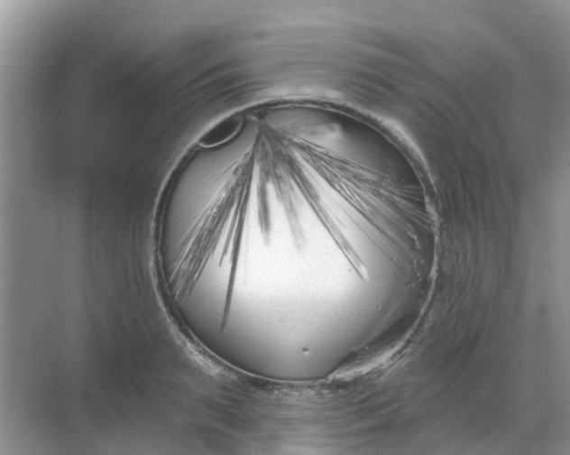 X0000069360895200605261956