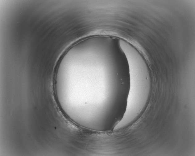 X0000069360896200605261955