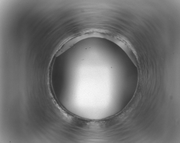 X0000069360898200605261955