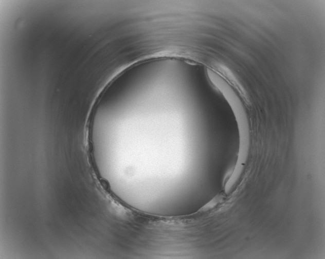 X0000069360900200605261955