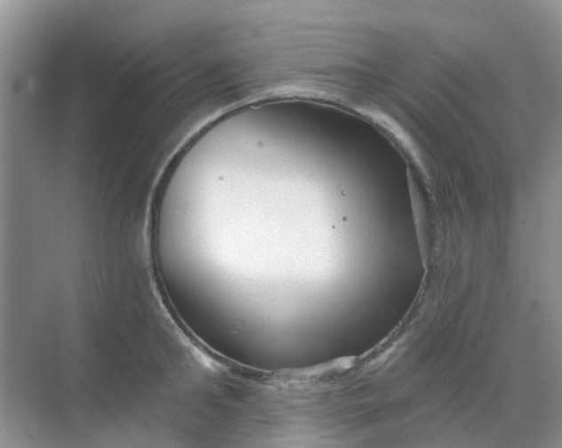 X0000069360902200605261955