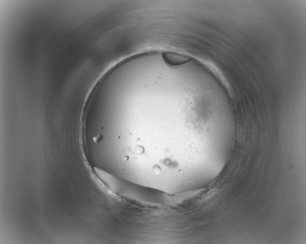 X0000069360903200605261955