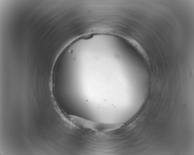 X0000069360904200605261955