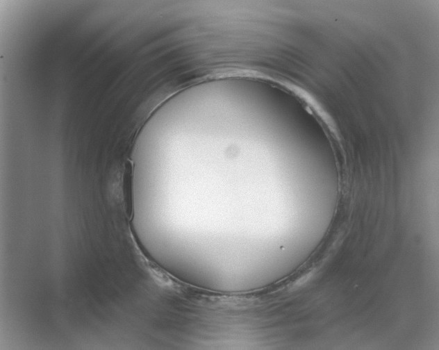 X0000069360905200605261955