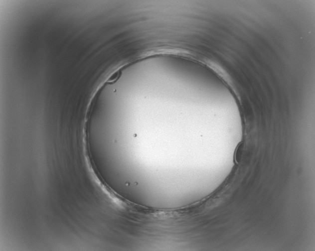 X0000069360906200605261955