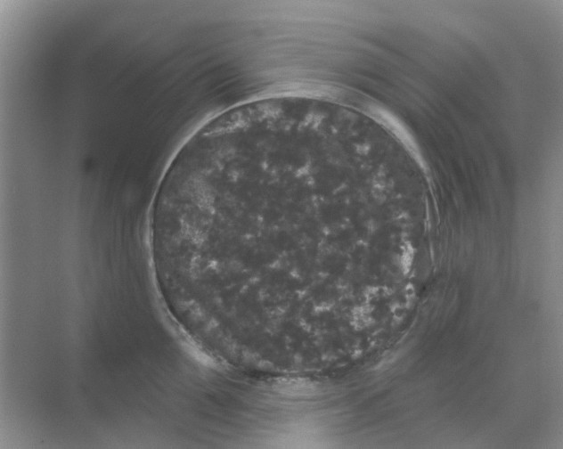 X0000069360907200605261955