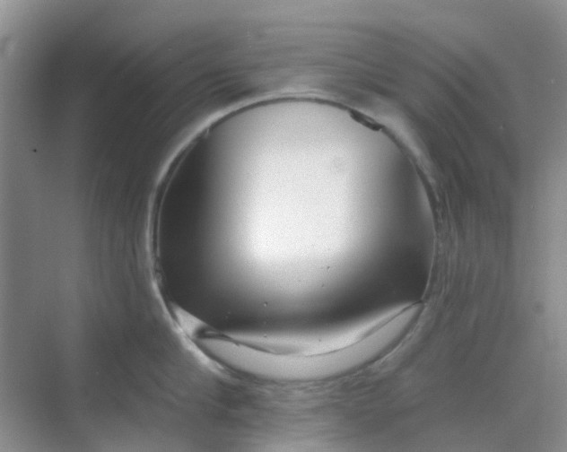 X0000069360910200605261955