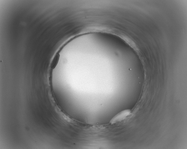 X0000069360912200605261955