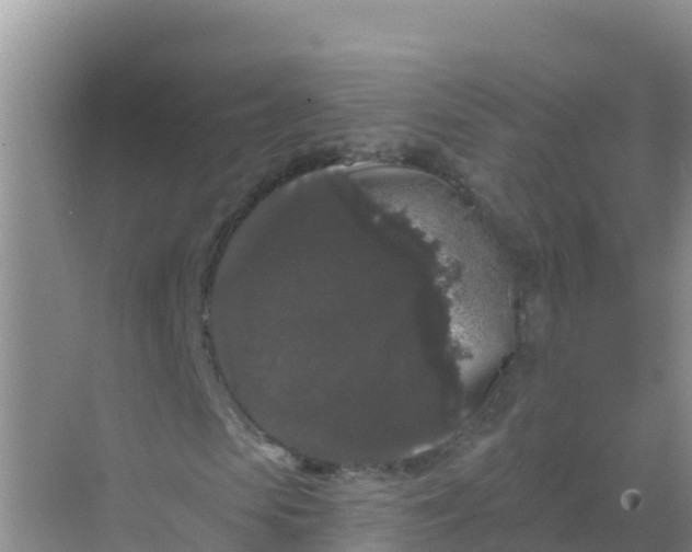 X0000069360913200605261954