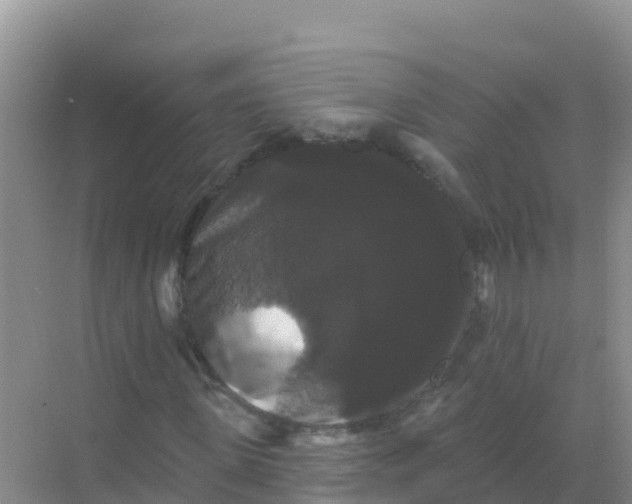 X0000069360915200605261954