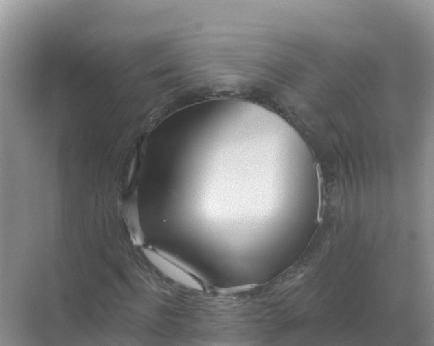 X0000069360916200605261954