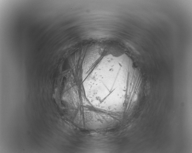 X0000069360917200605261954