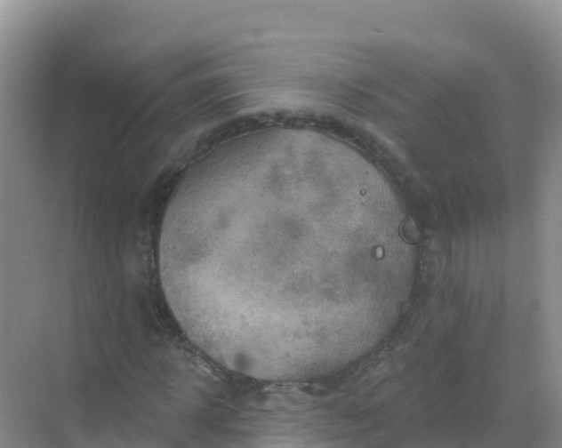 X0000069360918200605261955