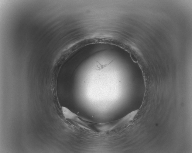 X0000069360920200605261955