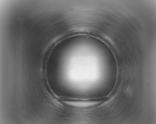 X0000069360922200605261955