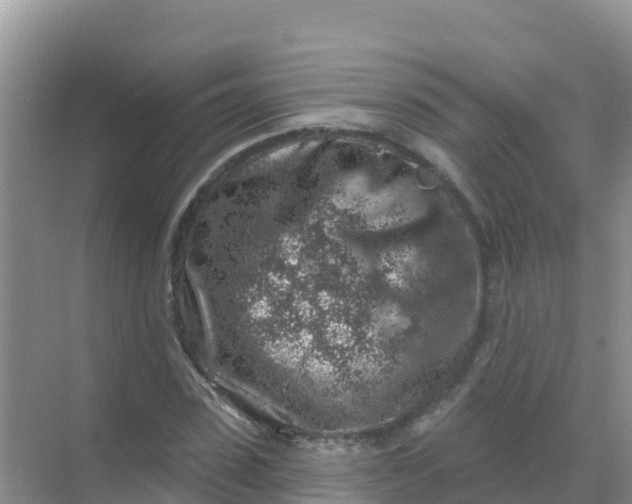 X0000069360923200605261955