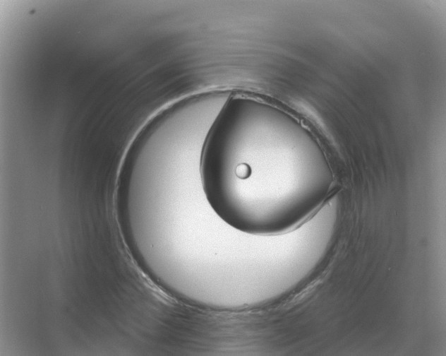 X0000069360924200605261955