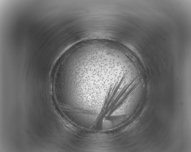 X0000069360925200605261955