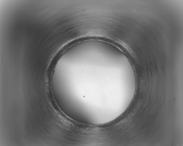 X0000069360926200605261955