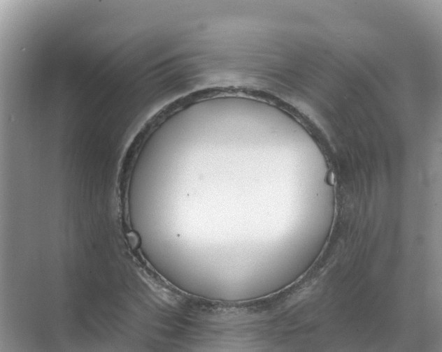 X0000069360927200605261955