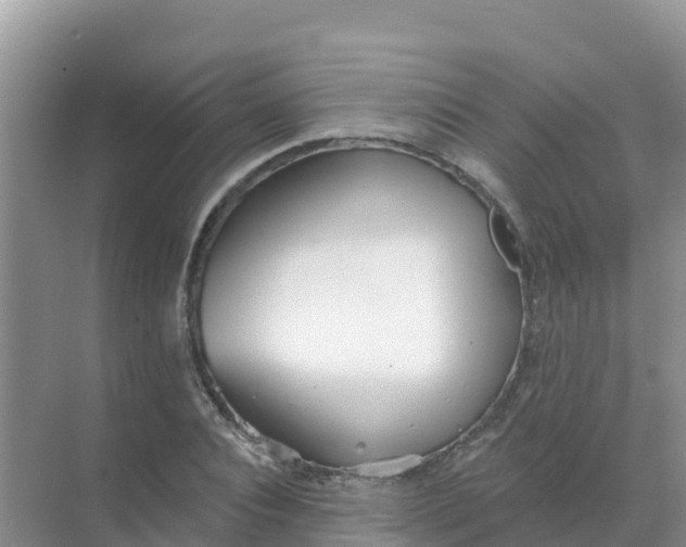 X0000069360928200605261955