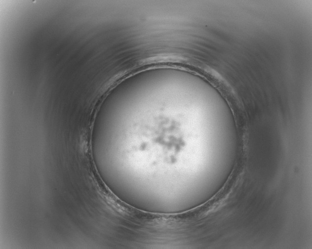 X0000069360929200605261955