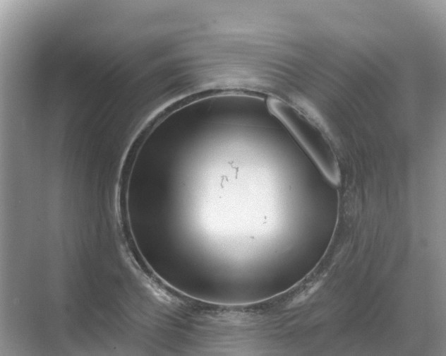 X0000069360932200605261955