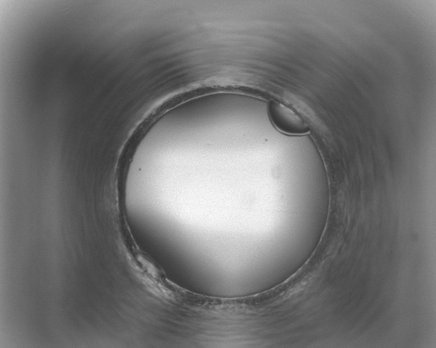 X0000069360934200605261955