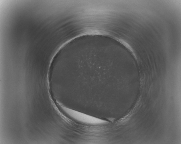 X0000069360935200605261955