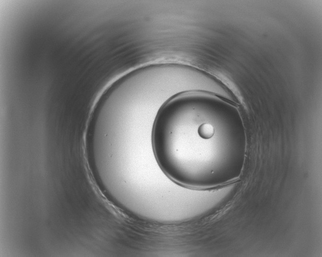 X0000069360936200605261955