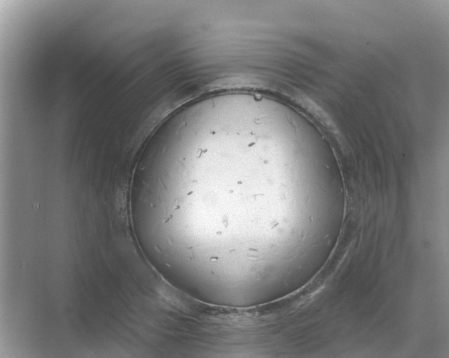 X0000069360937200605261955