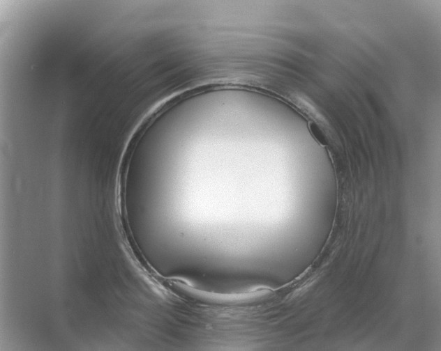 X0000069360940200605261955