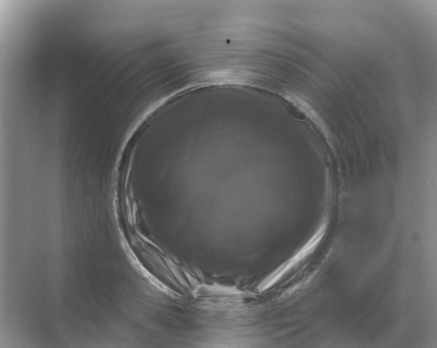 X0000069360941200605261955