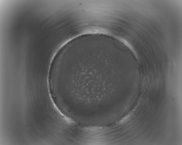 X0000069360943200605261955