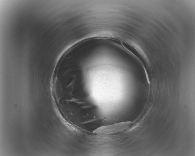 X0000069360944200605261955