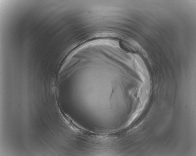 X0000069360945200605261955