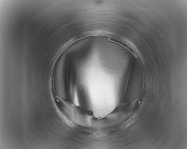 X0000069360946200605261955