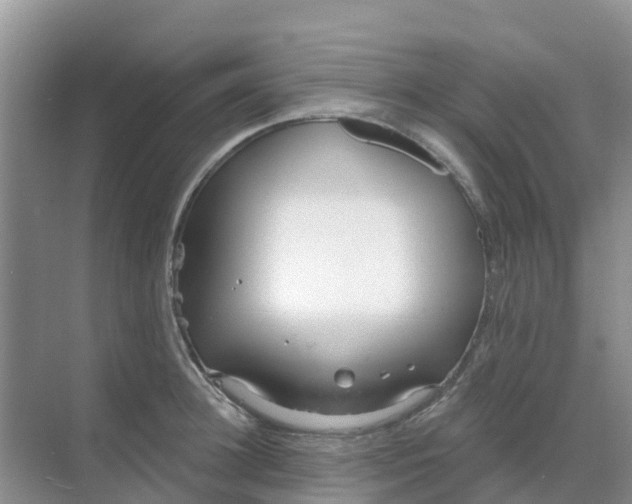 X0000069360948200605261955