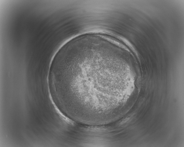 X0000069360951200605261955