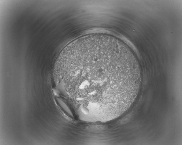 X0000069360953200605261955