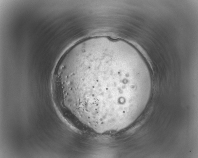 X0000069360957200605261955