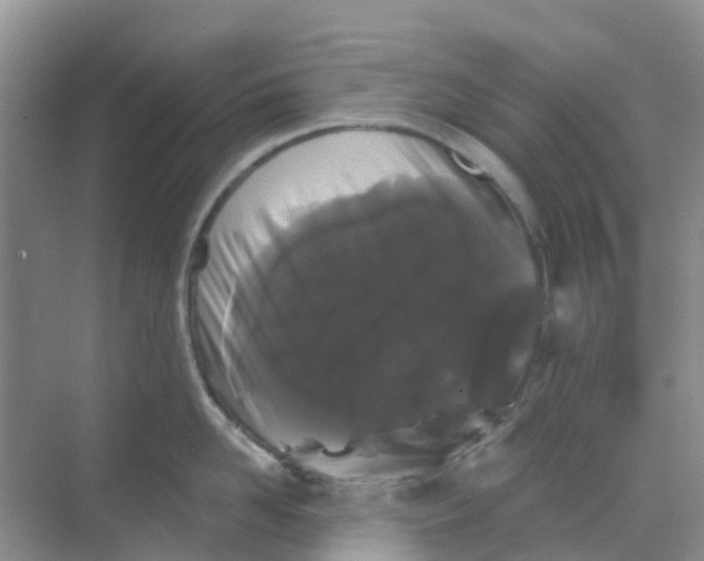 X0000069360958200605261955