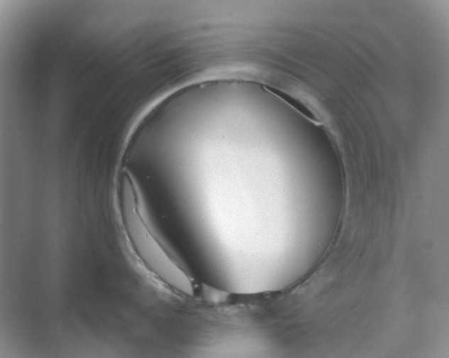 X0000069360960200605261955