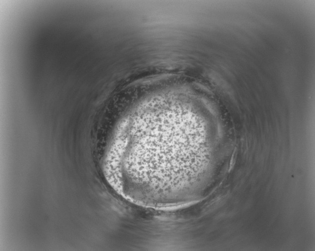 X0000069360961200605261954