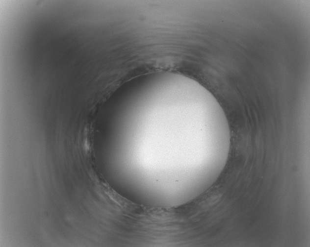 X0000069360962200605261954