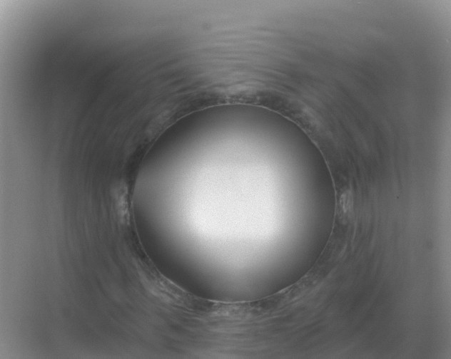 X0000069360963200605261954