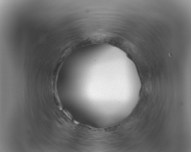 X0000069360964200605261954