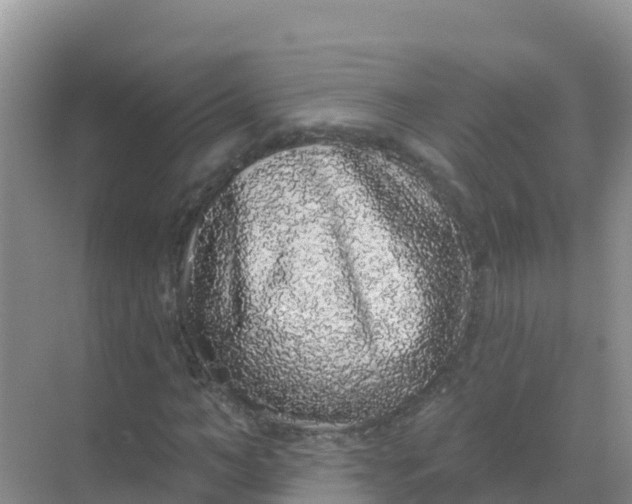 X0000069360966200605261954