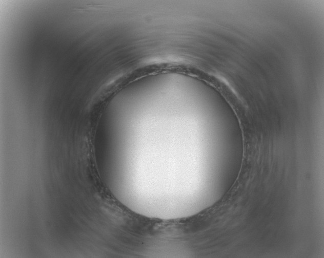 X0000069360967200605261954